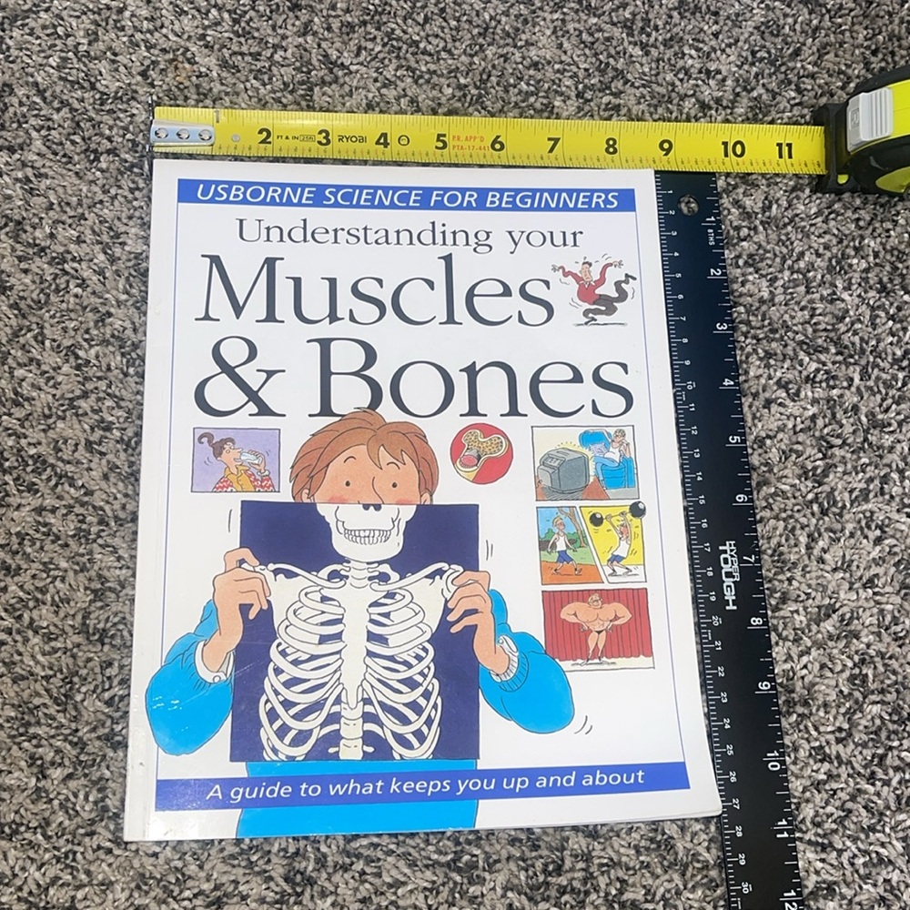 Science paperback science book understanding your muscles and bones educational